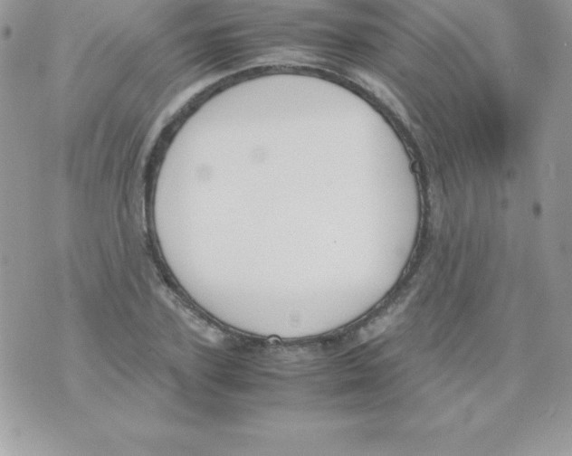 X0000070830931200607142337