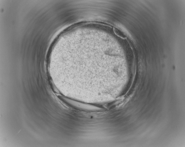 X0000070830932200607142337