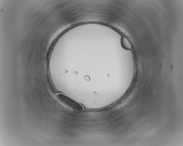 X0000070830933200607142337