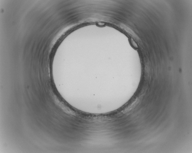 X0000070830934200607142337