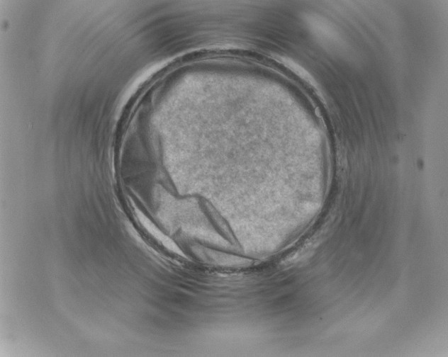 X0000070830935200607142337