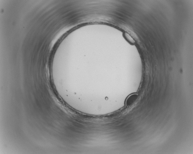 X0000070830936200607142337