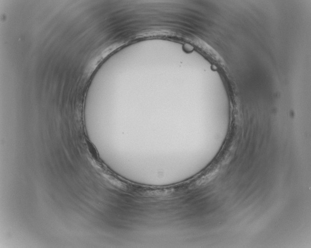 X0000070830937200607142337