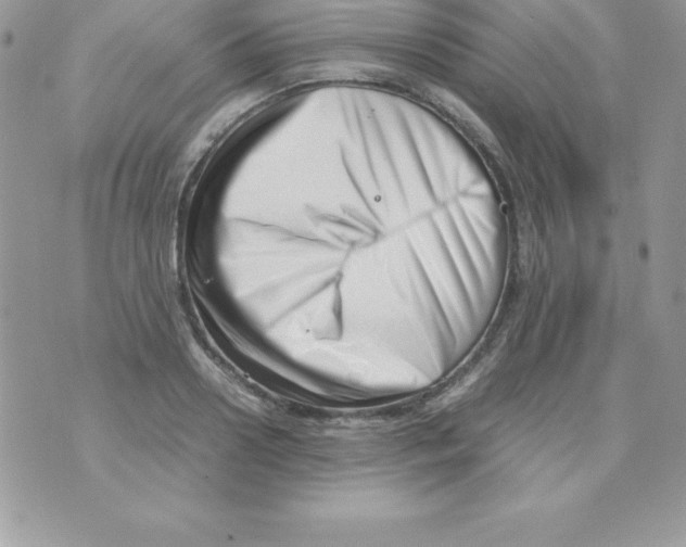 X0000070830938200607142337