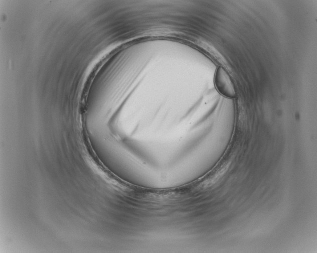 X0000070830939200607142337