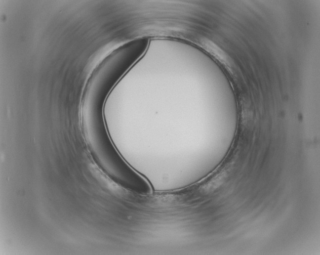 X0000070830940200607142337