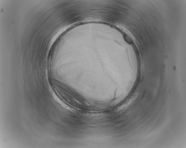 X0000070830941200607142337