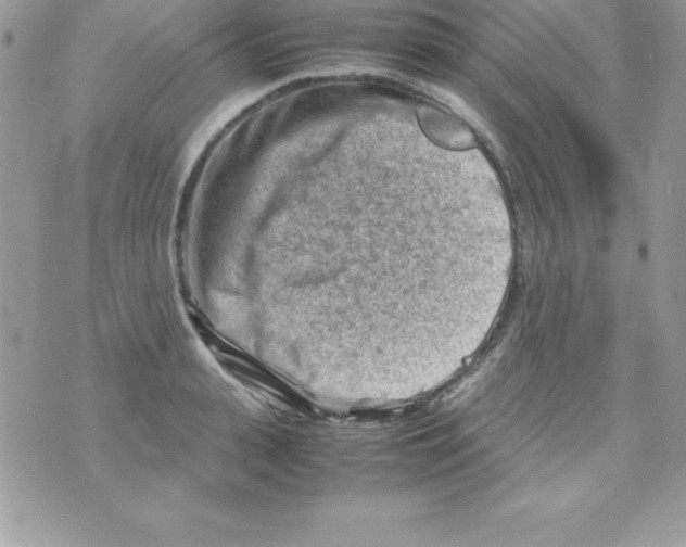 X0000070830943200607142337