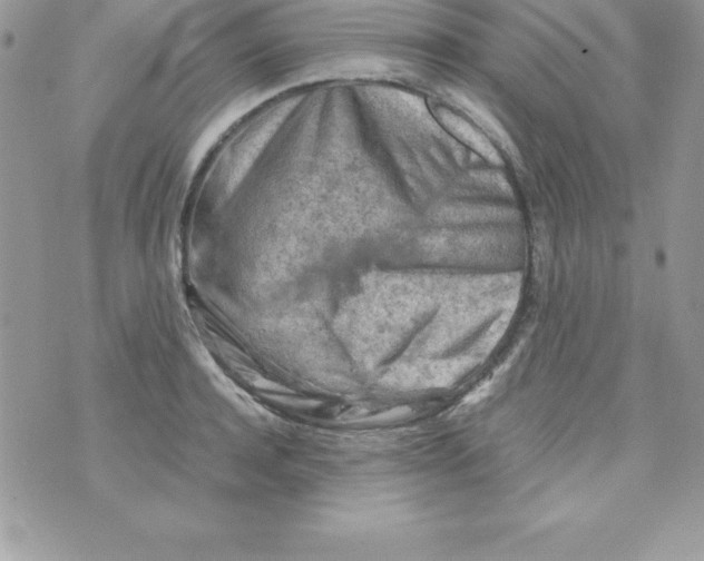 X0000070830944200607142337