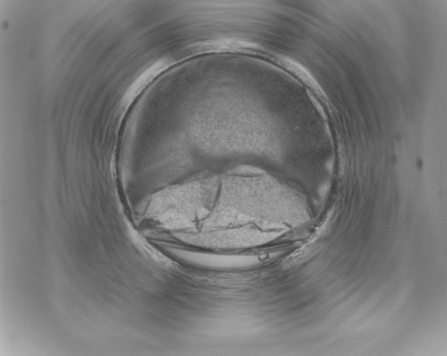 X0000070830946200607142337