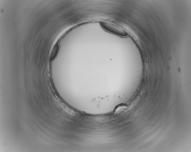 X0000070830948200607142337