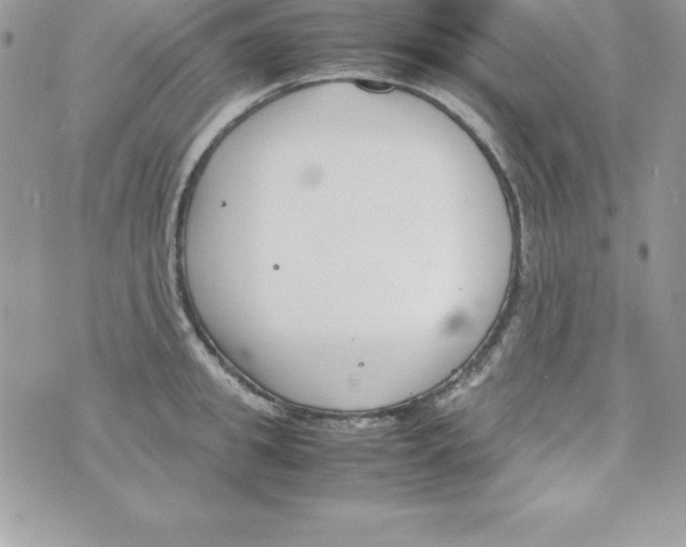 X0000070830949200607142337