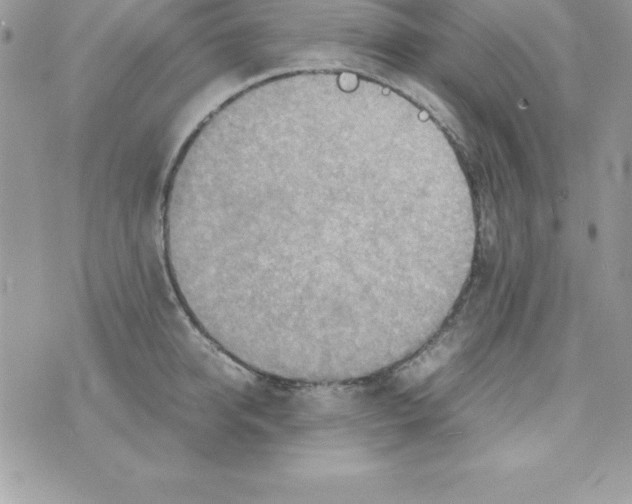 X0000070830950200607142337