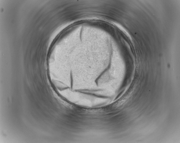 X0000070830951200607142337