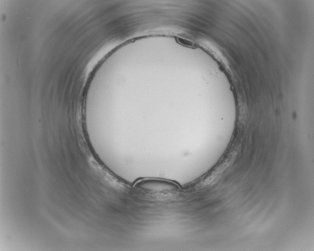 X0000070830952200607142337