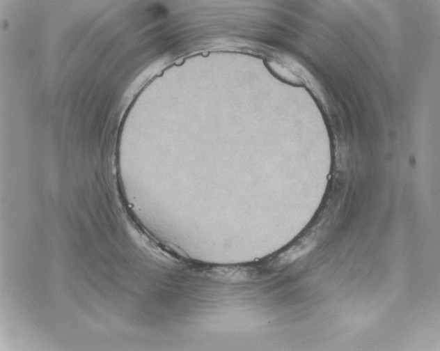 X0000070830954200607142337