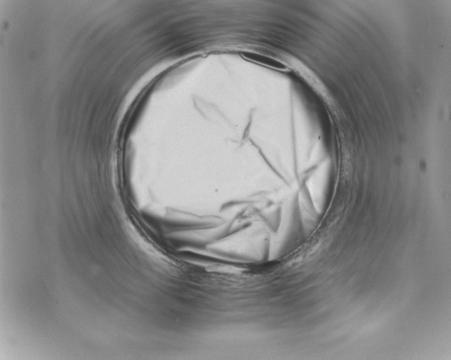 X0000070830955200607142337