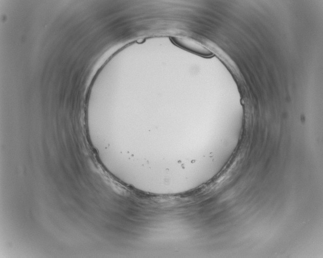 X0000070830956200607142337