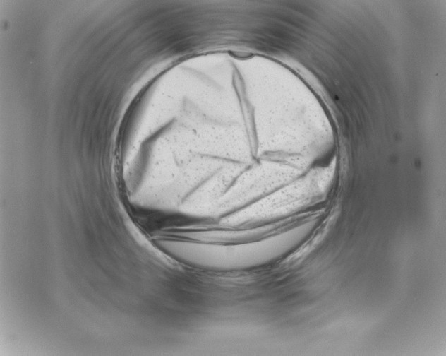 X0000070830957200607142337