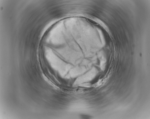 X0000070830958200607142337