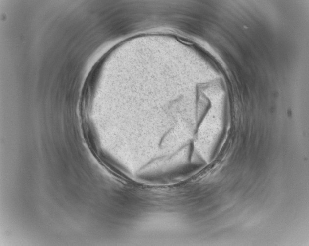 X0000070830959200607142337