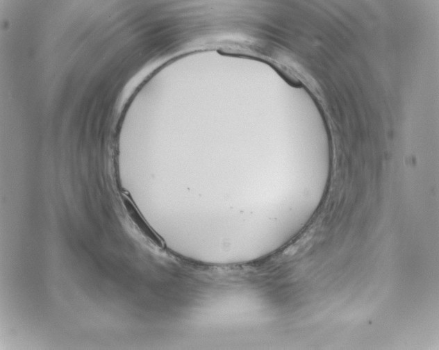 X0000070830960200607142337