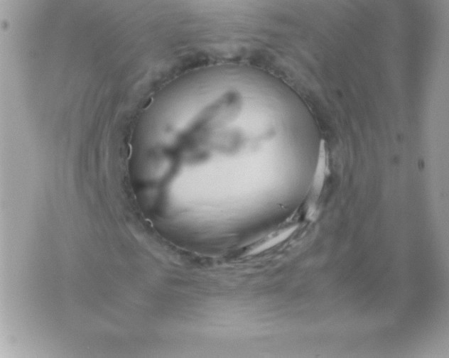 X0000070830961200607142337