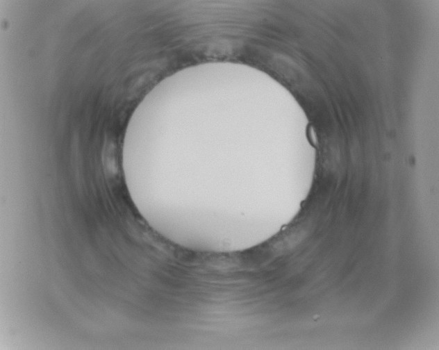 X0000070830962200607142337