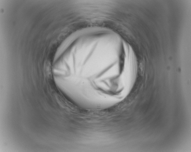 X0000070830963200607142337