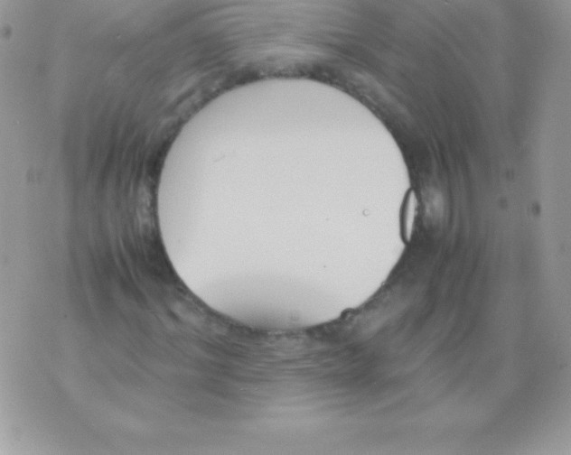 X0000070830964200607142337