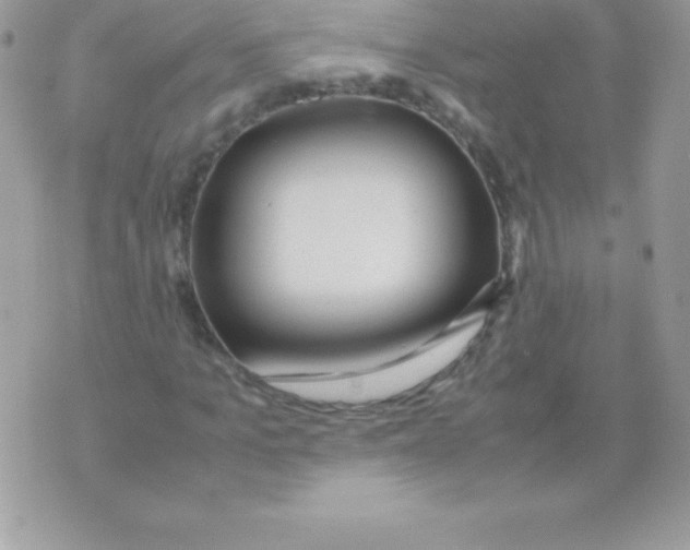 X0000070830965200607142337