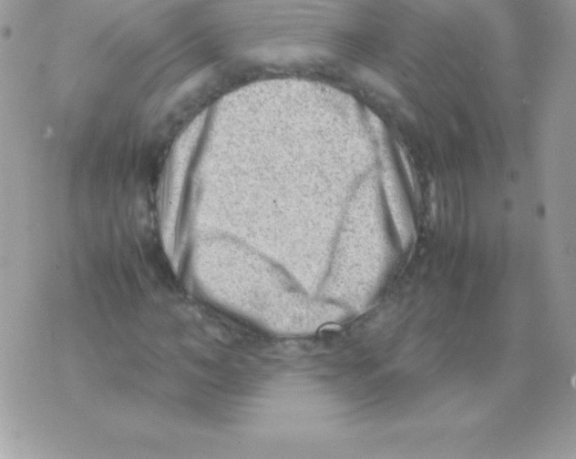 X0000070830966200607142337