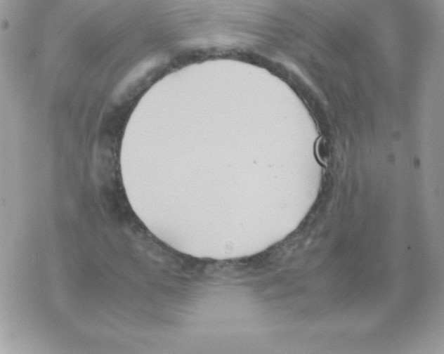 X0000070830967200607142337