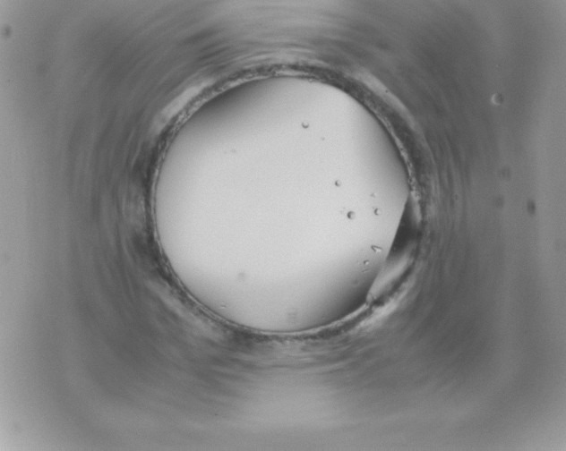 X0000070830969200607142337