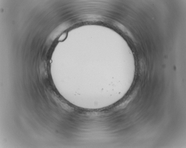 X0000070830970200607142337