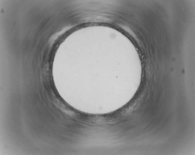 X0000070830971200607142337