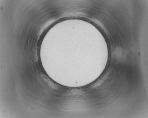 X0000070830974200607142336