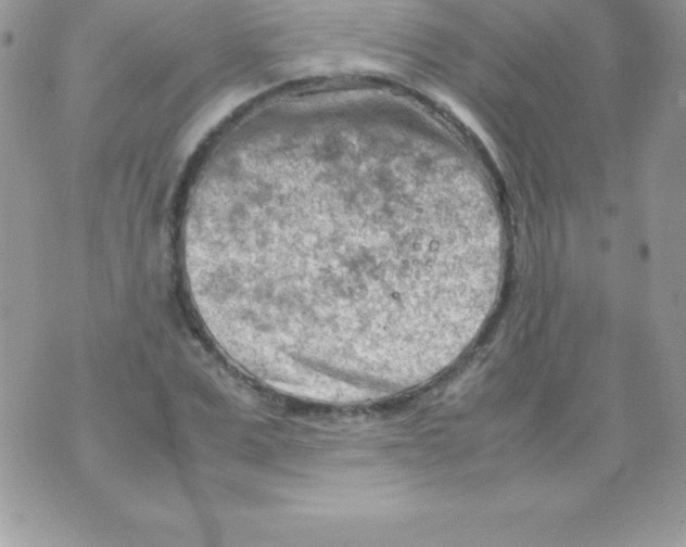 X0000070830975200607142336