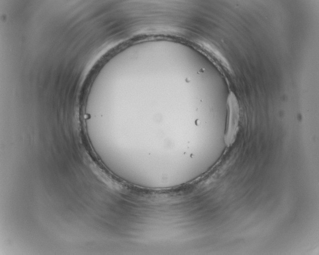 X0000070830976200607142336