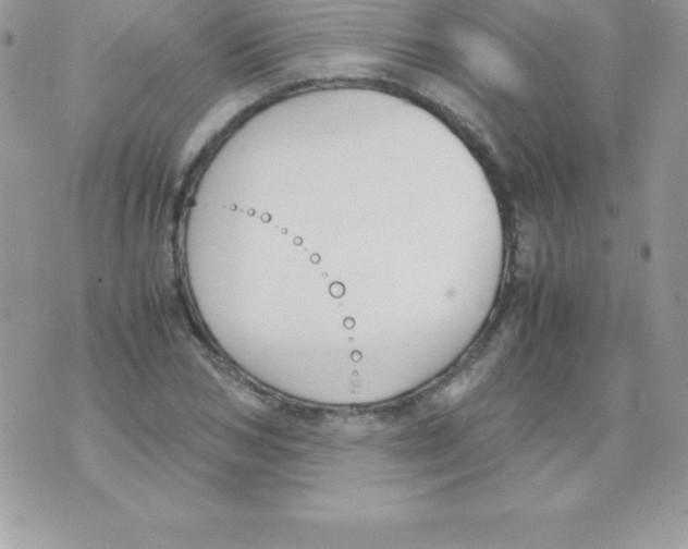 X0000070830978200607142336