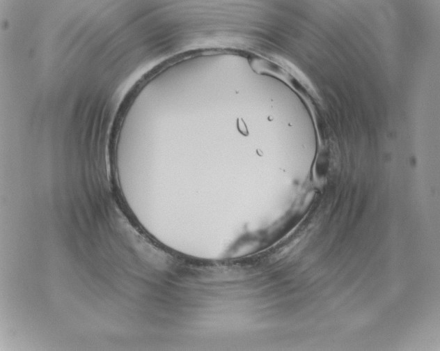 X0000070830980200607142336