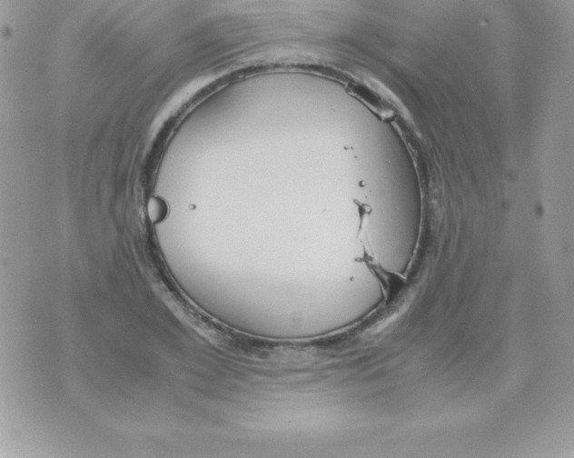 X0000070830981200607142336