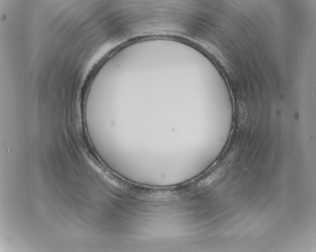 X0000070830982200607142336