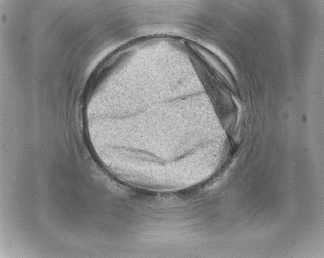 X0000070830983200607142336