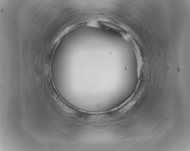 X0000070830985200607142336