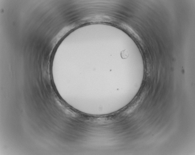 X0000070830986200607142336