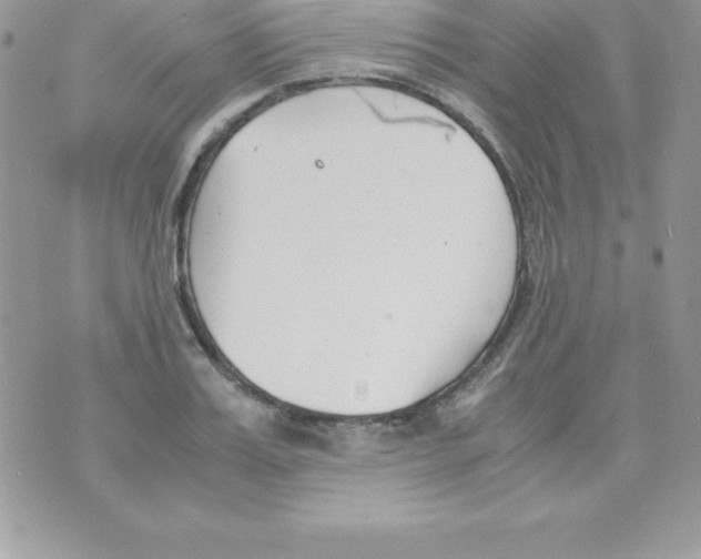 X0000070830987200607142336