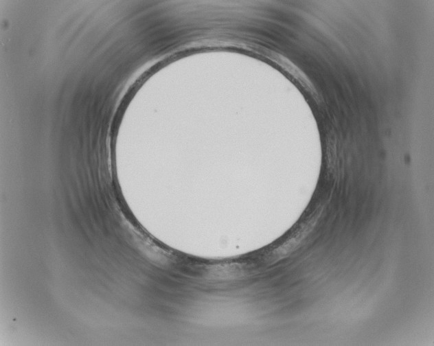 X0000070830988200607142336