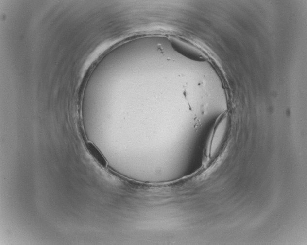 X0000070830989200607142336