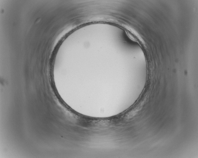 X0000070830991200607142336